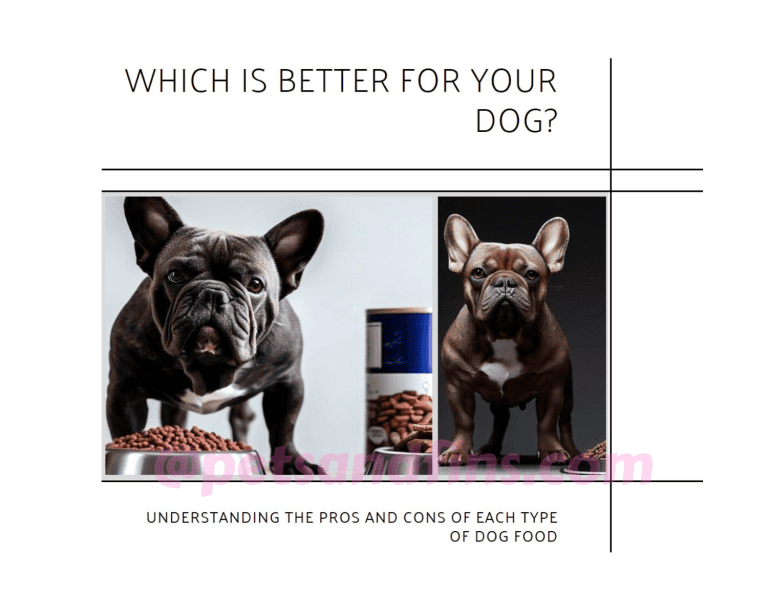 Wet Dog Food Vs. Dry Dog Food: Which Is Better For Your Dog?