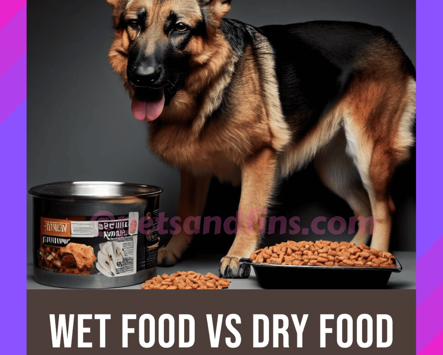 Wet Dog Food Vs. Dry Dog Food: Which Is Better