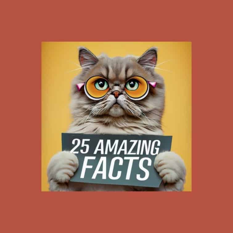 25 Fascinating Facts About the Persian Cat Breed