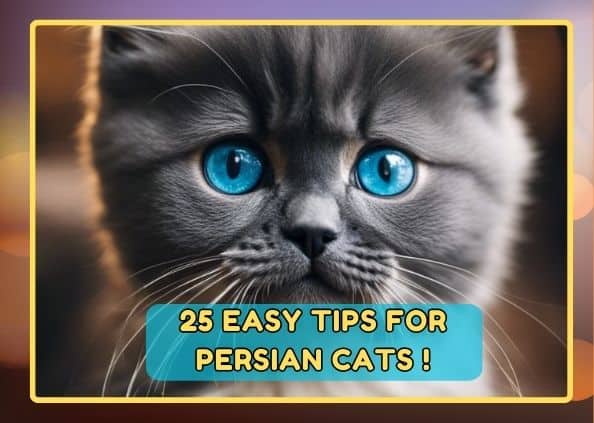 25 Easy & Smart Tips to Pamper Your Persian: Giving Your Cat the Best Life!