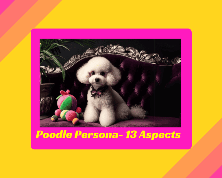 13 Awesome Aspects About The Poodle Persona