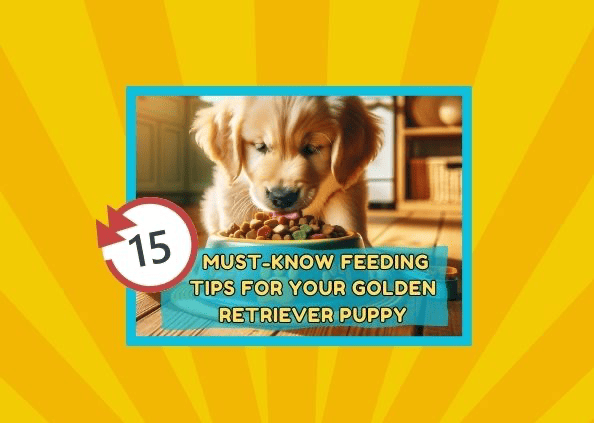 15 Must-Know Feeding Tips for Your Golden Retriever Puppy