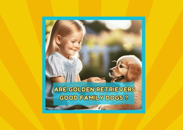 Are Golden Retrievers Good Family Dogs ?