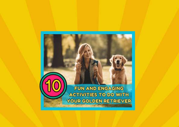 10 Fun And Engaging Activities To Do With Your Golden Retriever