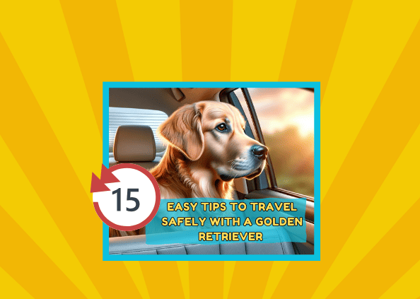 15 Easy Tips To Travel Safely With A Golden Retriever 🐾