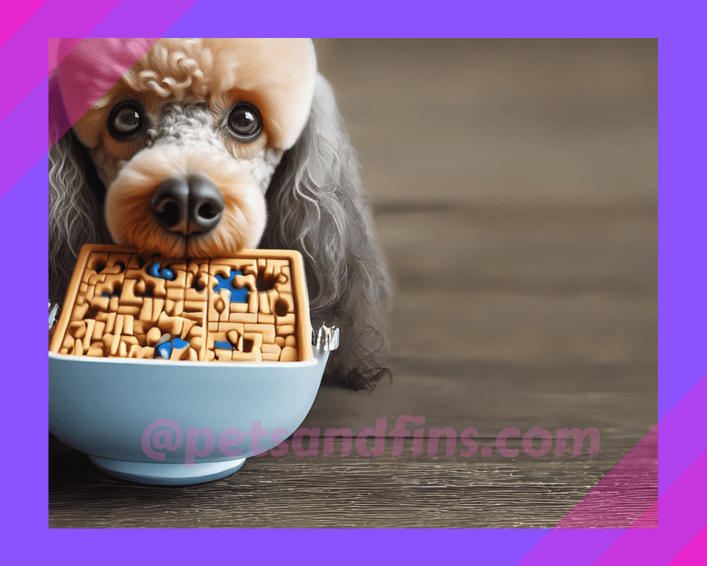 Why Do Poodles Need Mental Stimulation?
