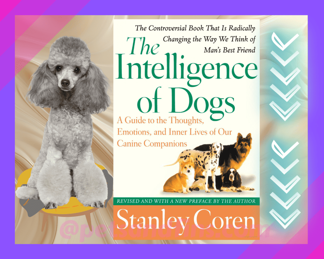 Are Poodles Intelligent? 9 Amazing Aspects To Know - PetsandFins
