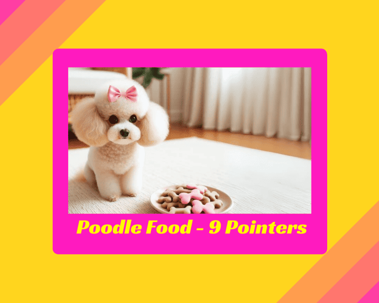 An Awesome Poodle Food & Nutrition Guide – 9 Amazing Pointers