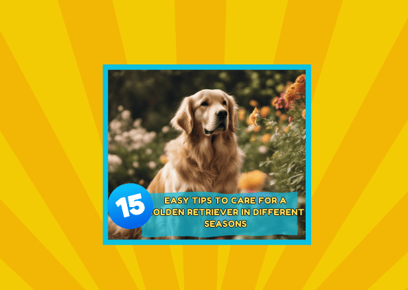 15 Easy Tips to Care for a Golden Retriever in Different Seasons 🐾