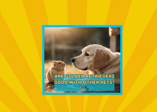 Are Golden Retrievers Good With Other Pets? 🐕‍🦺🐾