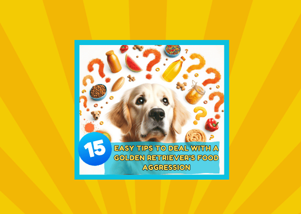 🍖 15 Easy Tips to Deal with a Golden Retriever’s Food Aggression