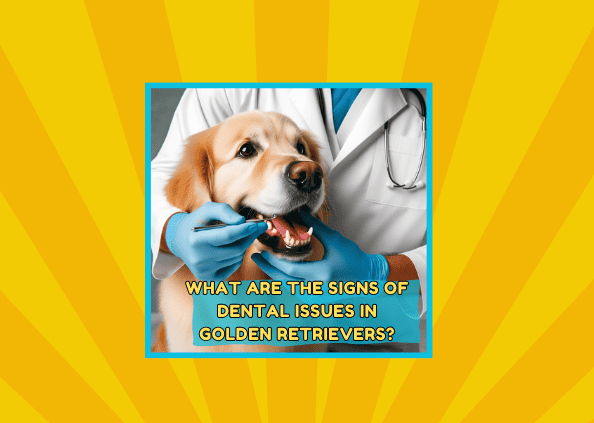 What are the Signs of Dental Issues in Golden Retrievers? Uncovering the Tooth Truth! 🐾