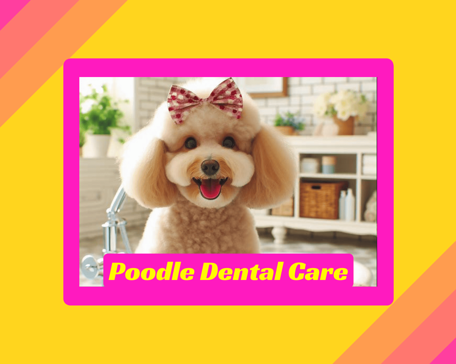 Your Poodle's Dental Health - Poodle Mix Dog Dental Cleaning Formulas