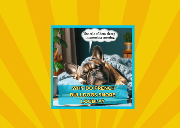 Why Do French Bulldogs Snore Loudly?