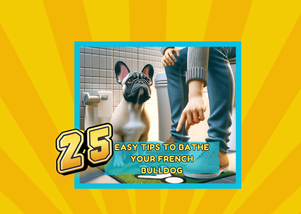 20 Easy Tips To Bathe Your French Bulldog: A Fun and Splashing Experience!