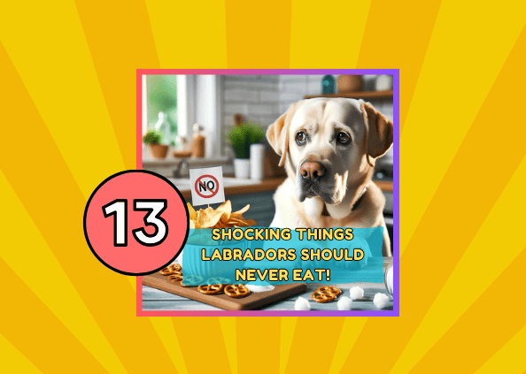 13 Shocking Diet Secrets for Labradors: What They Should Never Eat!