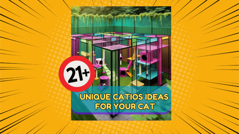 21 Unique Catios Ideas for Your Cat