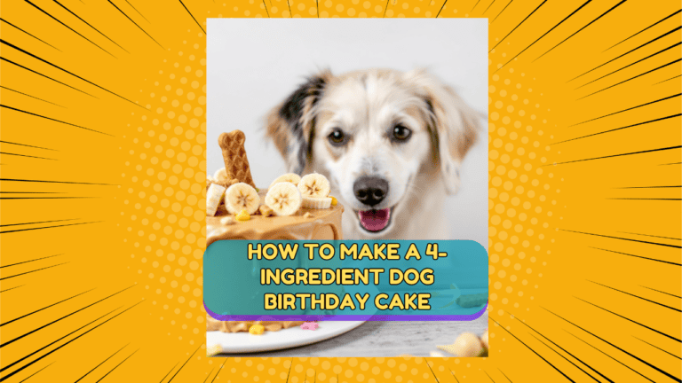 How to Make a 4-Ingredient Dog Birthday Cake: An Easy Guide