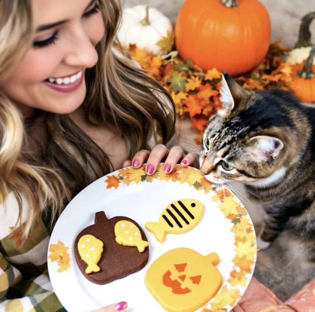 11 Easy Halloween Treats For Cats