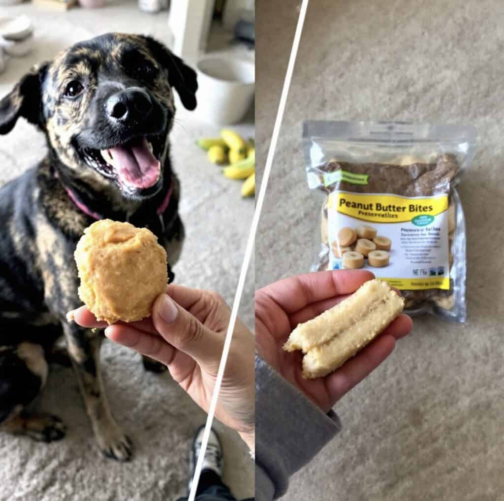 Easy Peanut Butter Banana Bites Treats FOR DOGS